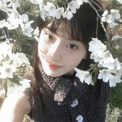 莓之破片 在线观看